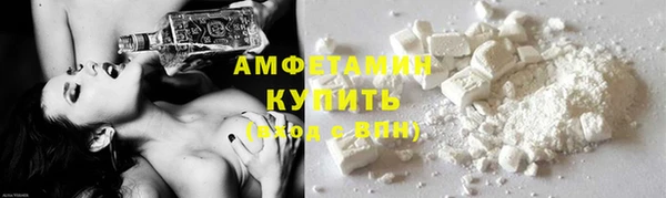 дмт Бородино