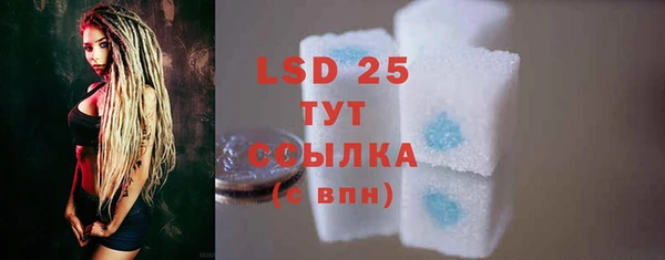 дмт Бородино