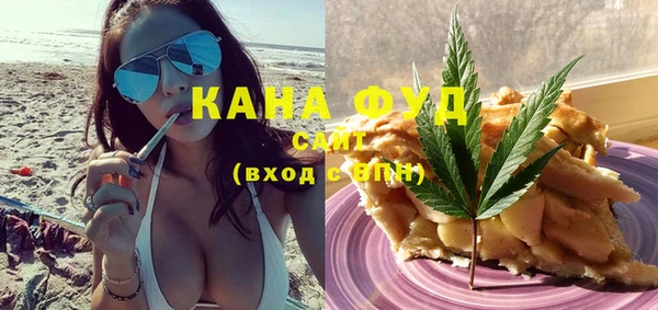 дмт Бородино