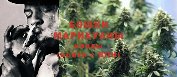 бутират Богородицк