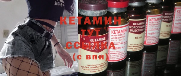 дмт Бородино