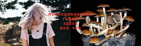 прущая мука Богородск
